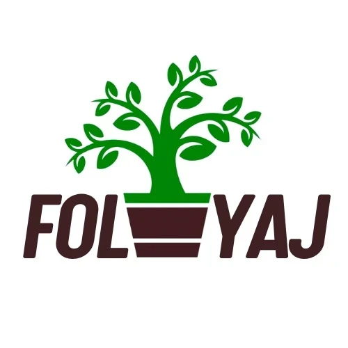 Foliyaj