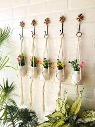 Plant Hanger