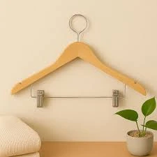 Hanger