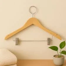 Hanger