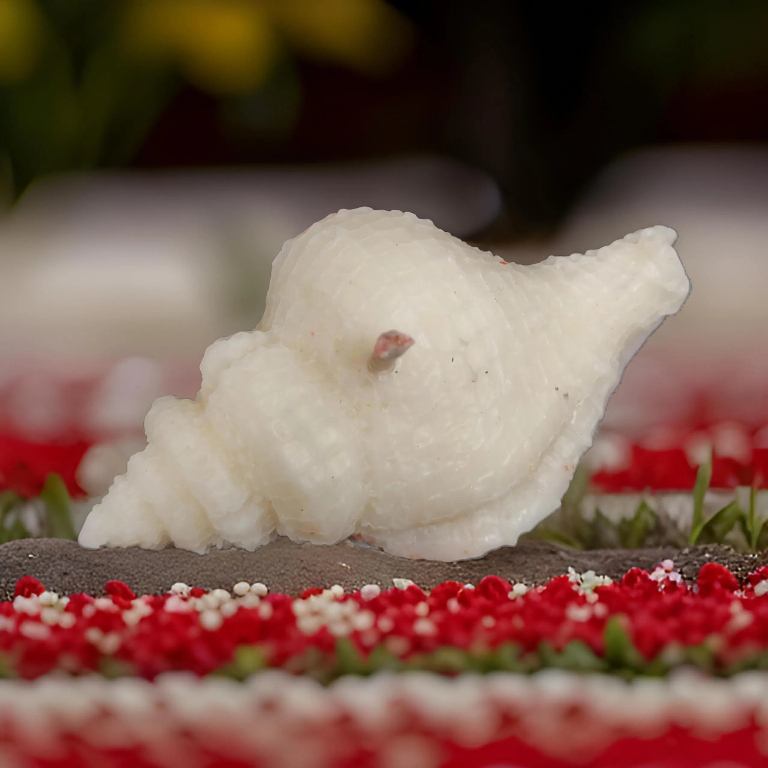 Pure Soya Shell Candle: Sustainable Light for decoration