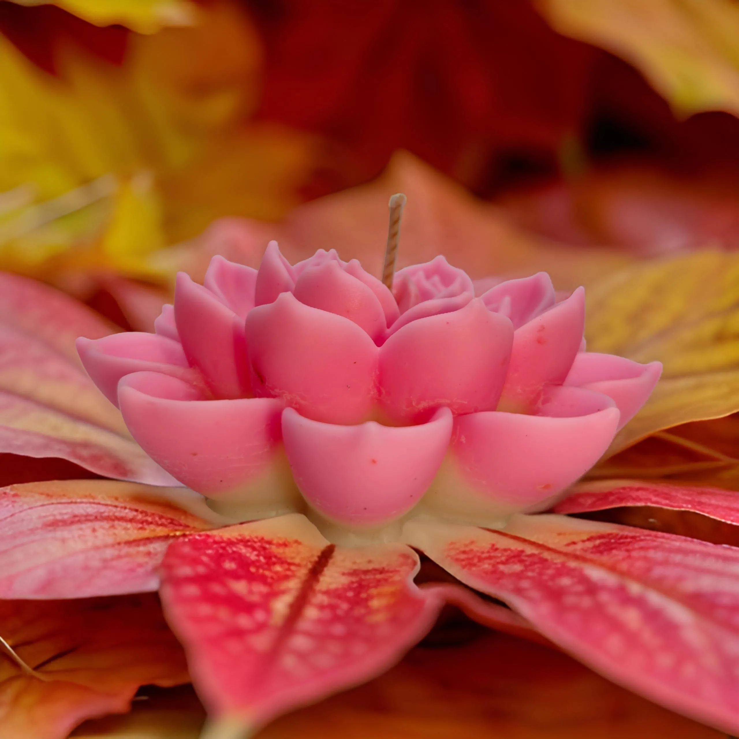 Lotus Flower Candle Pure Soya Wax for Festivals and Home Decoration with Hight Quality Wick | Elegant Kamal Design Candle For Decoration & Gift Pack