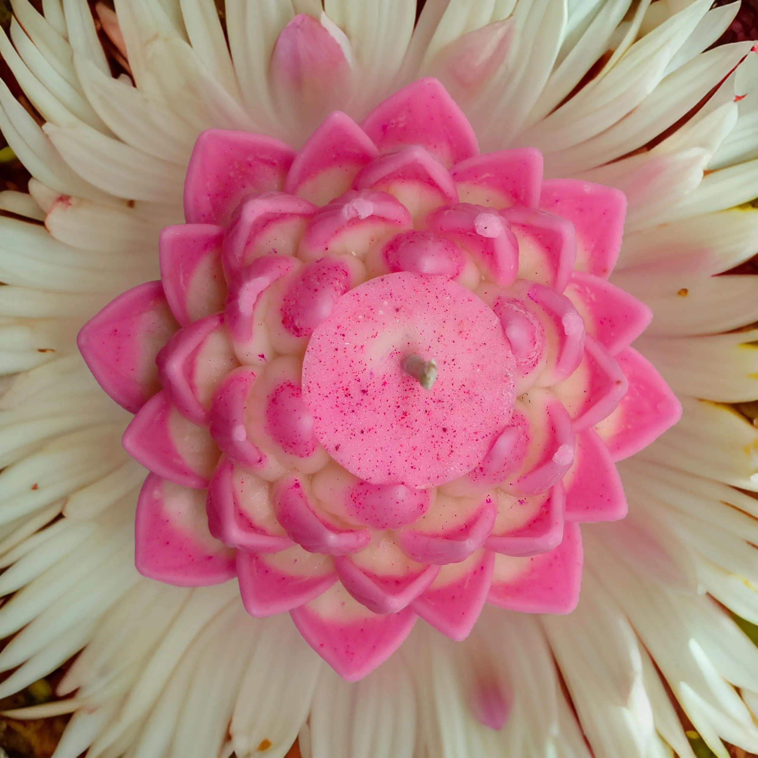 Lotus Shape Floating Soya Wax Candle | Elegant Design Lotus Candle For Decoration And Gift Pack Pack of 1