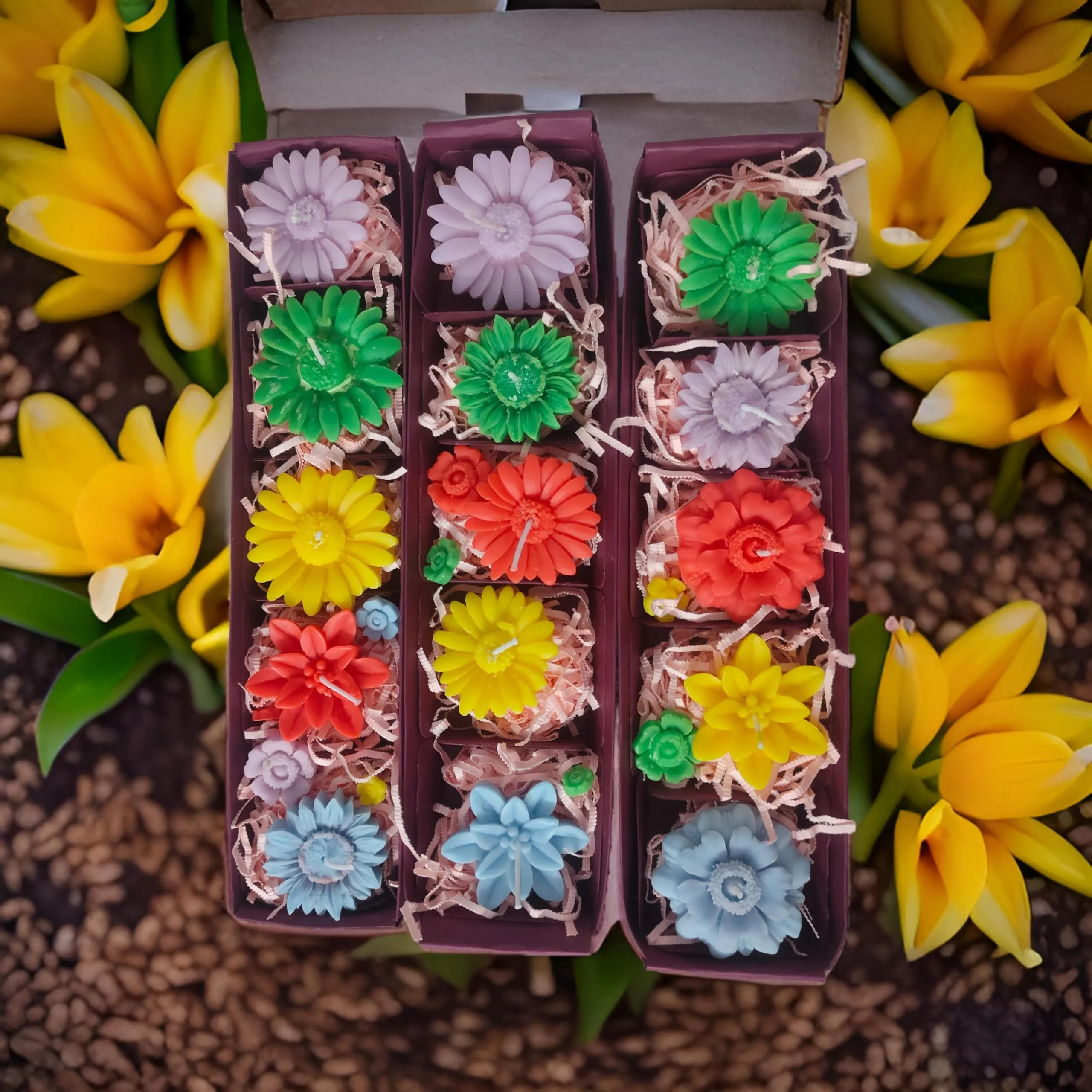 SS Enterprise Floating SOYA Wax Candle Set of 6, Organic Diwali Candles