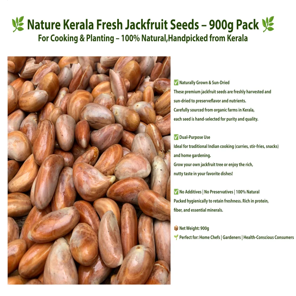 Nature Kerala Fresh Jackfruit Seeds, 900g, Natural Sun-Dried, for Planting, Handpicked from Kerala