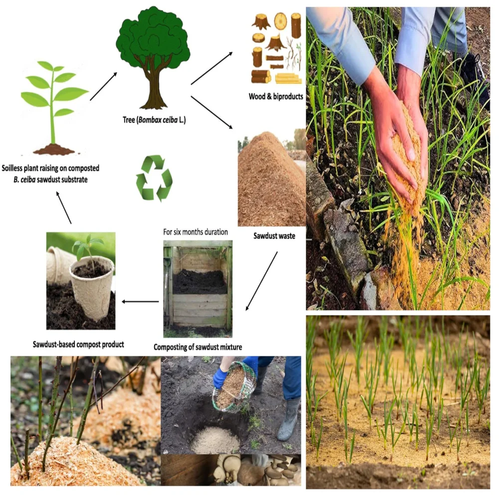 Natural Wood Saw Dust, Emperor Art Gallery, Jackfruit Wooden Sawdust,Natural Wooden Dust | Pure Jackfruit Wooden Saw dust,Sawdust Powder for Compost 100% Pure & Natural Product