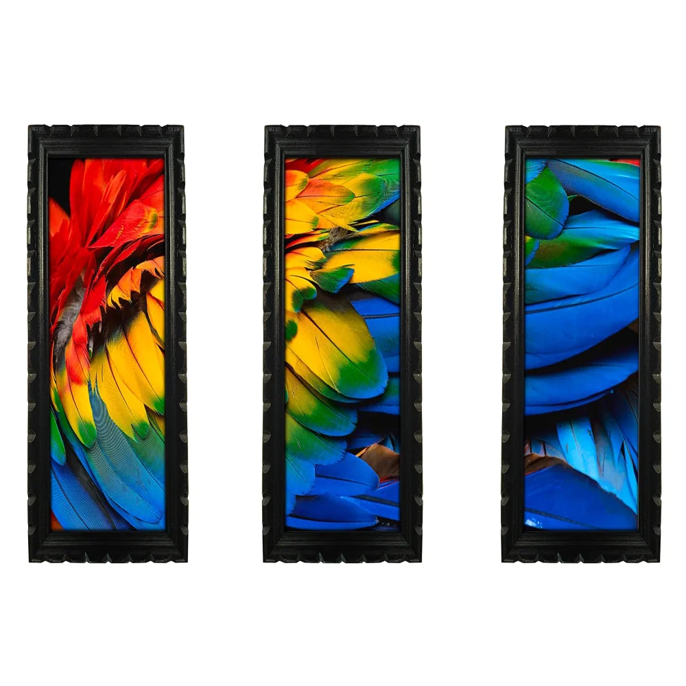 Parrot Laminated Digital Re-Print With Original Wood Frame(13x6.6) in