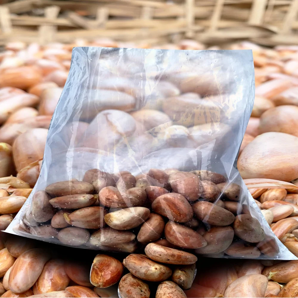 Nature Kerala Fresh Jackfruit Seeds, 900g, Natural Sun-Dried, for Planting, Handpicked from Kerala