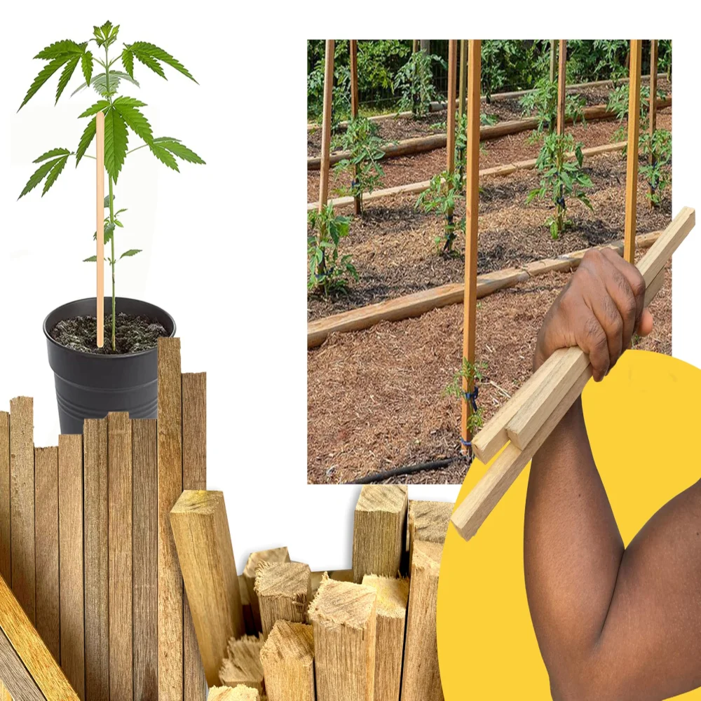 Plant Support Wooden Sticks | Wooden Sticks in gradening and Outdoor | Wood Sticks for Plant Support | Wooden Sticks for Art and Craft (12 Pieces,100% Natural) Size 30 cm