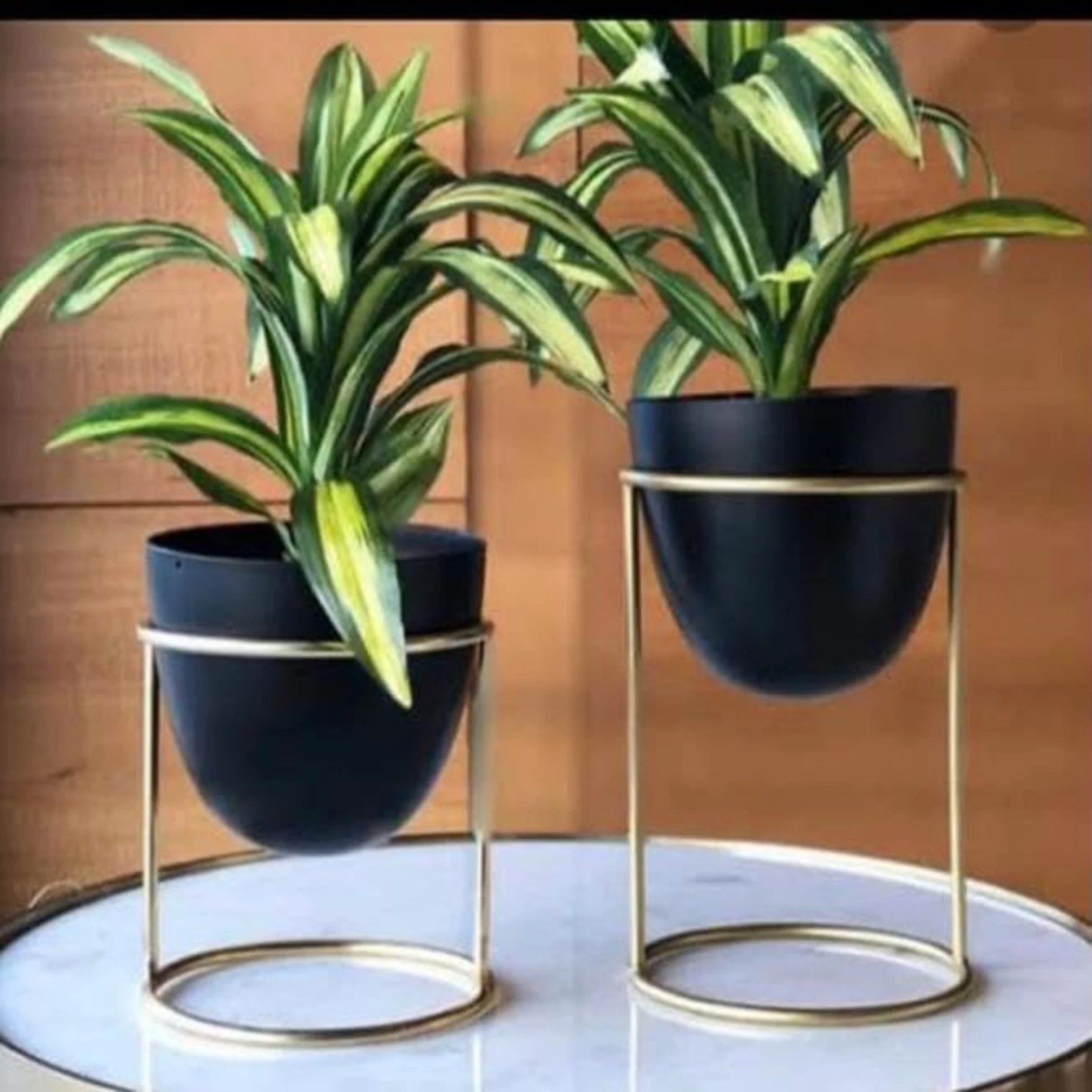 Metal Plant Pot with Stand | Flower Indoor Planter | Living Room Outdoor Garden | Office Desk Pot with Gold Metal Stand for Herbs Orchids Cacti Succulents,Set of 2