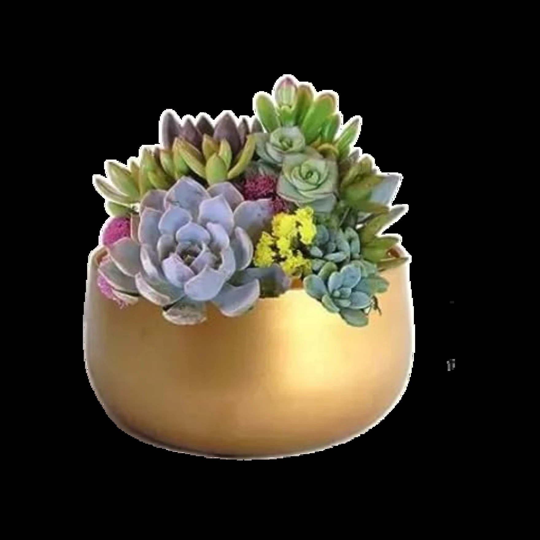 Metal Plant Pots with Drainage Hole,Indoor Planter Flower Pots, Home Garden Decor Planter for Living Room Bedroom Interior,Gold