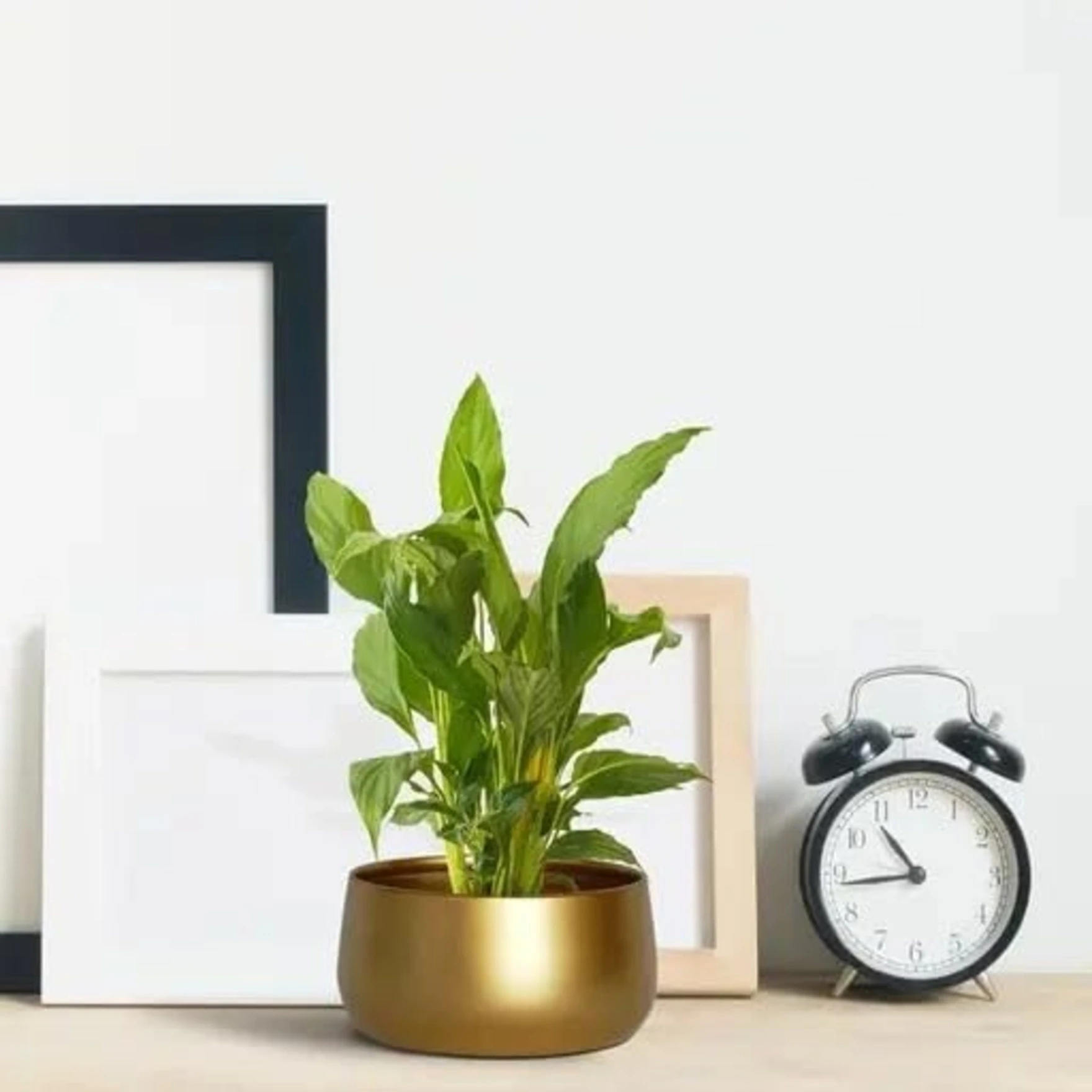 Metal Plant Pots with Drainage Hole,Indoor Planter Flower Pots, Home Garden Decor Planter for Living Room Bedroom Interior,Gold