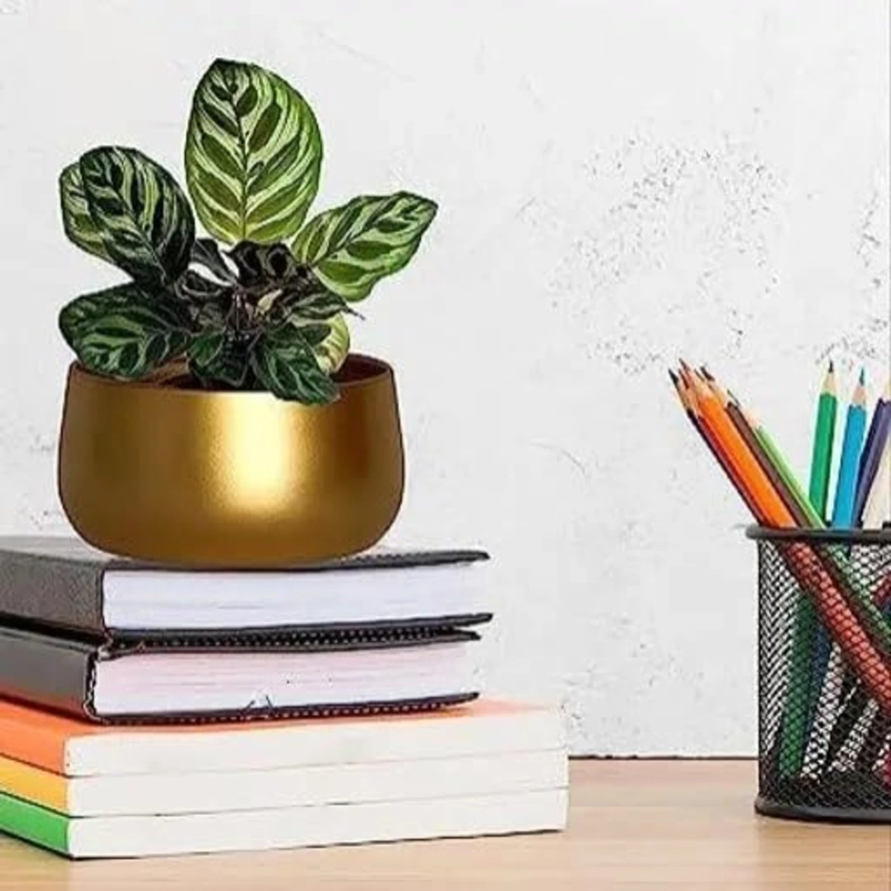 Metal Plant Pots with Drainage Hole,Indoor Planter Flower Pots, Home Garden Decor Planter for Living Room Bedroom Interior,Gold