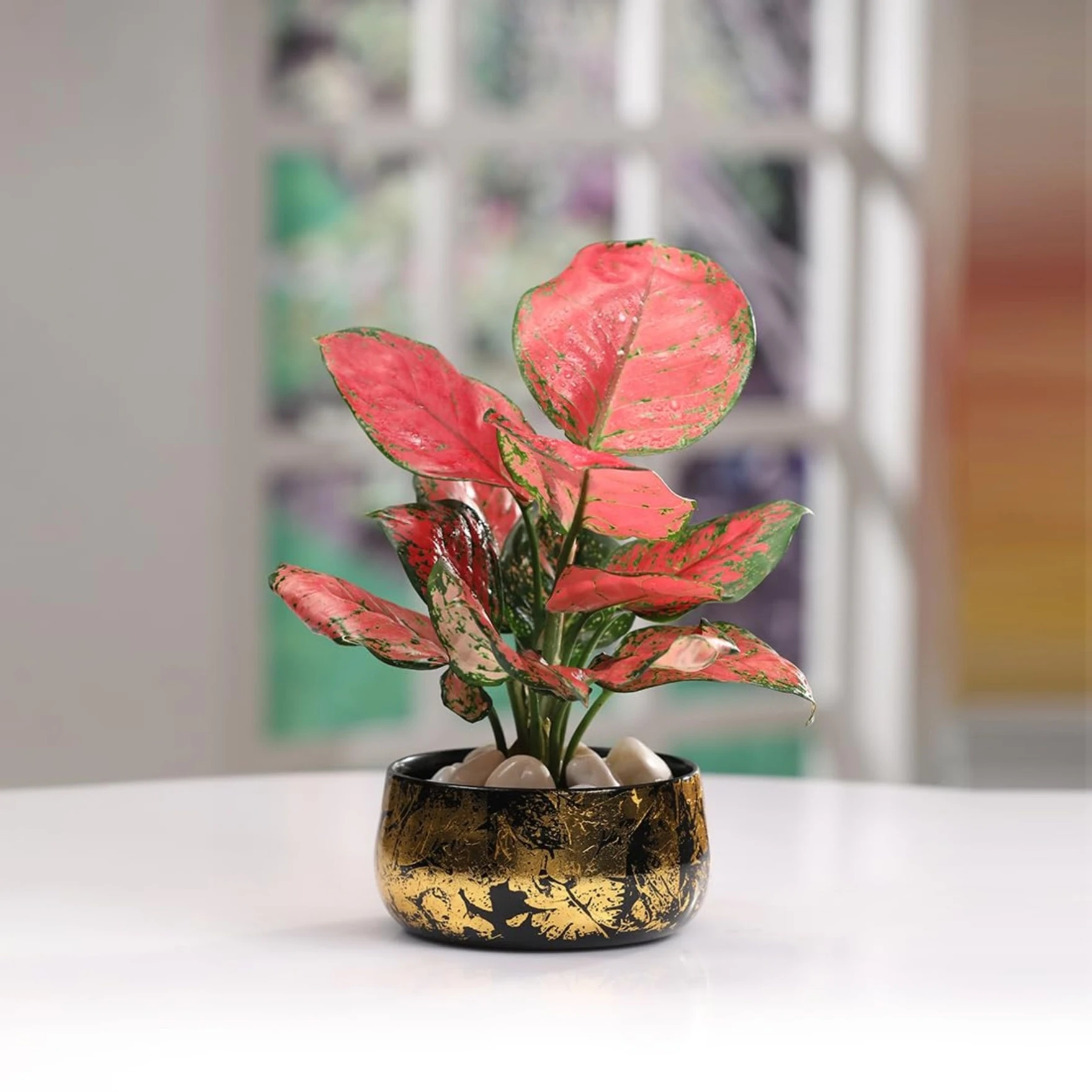 Iron Black and Gold Antique Handi Flower Pot with Drainage Hole Planter for Indoor Plants for Home Decor, Living Room, Kitchen, Bedroom, Table Top, Show Piece, Office, Gifting