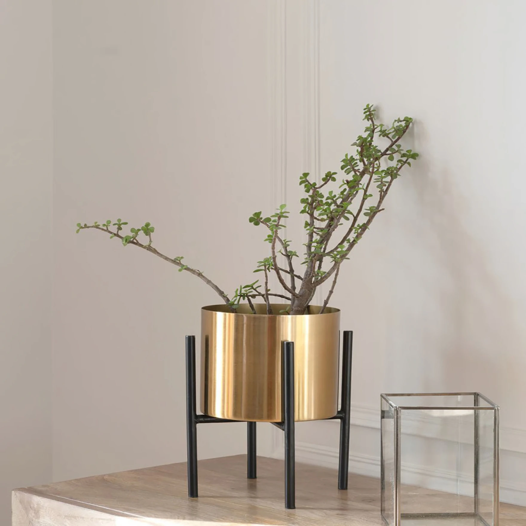Standing Floor Planters with Metal Stand , Plant Pot Container,Gold Pot and Black Stand Tree Planter Flower Pots and Stands
