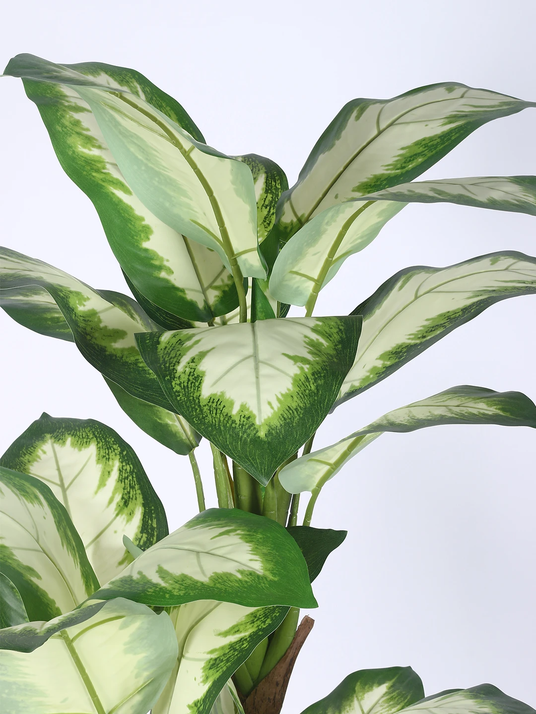 Artificial Plant 63inch Artificial Green Dieffenbachia Plant With Black Pot |Home Decor,Office Decor Perfect Housewarming Gift,Set of 1