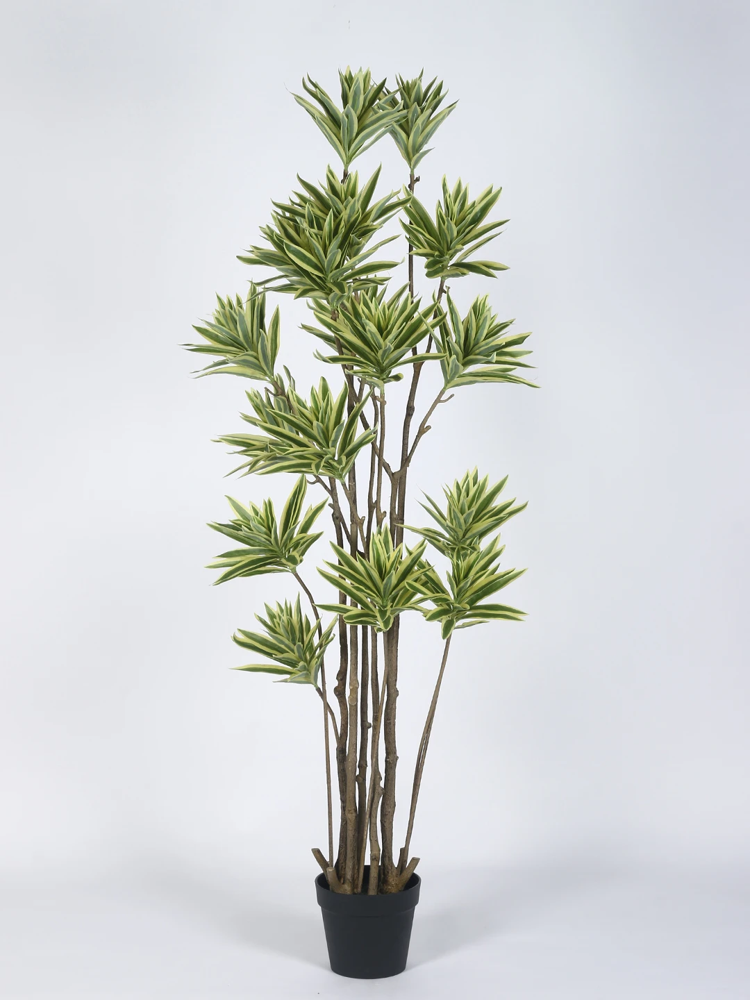 Artificial Plant  63inch Artificial Dracaena Reflexa 15 Head Tree With Black Pot|Home Decor,Office Decor Perfect Housewarming Gift,Set of 1