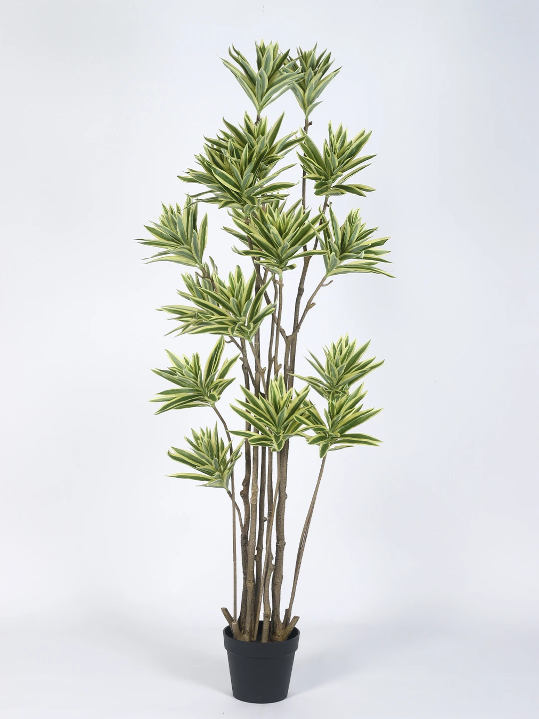 Artificial Plant  63inch Artificial Dracaena Reflexa 15 Head Tree With Black Pot|Home Decor,Office Decor Perfect Housewarming Gift,Set of 1