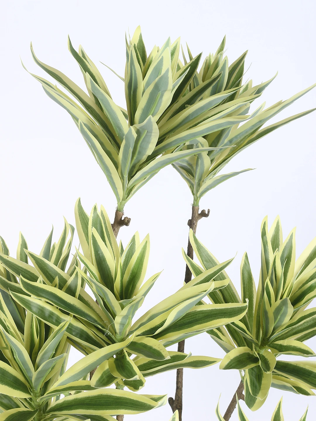 Artificial Plant  63inch Artificial Dracaena Reflexa 15 Head Tree With Black Pot|Home Decor,Office Decor Perfect Housewarming Gift,Set of 1