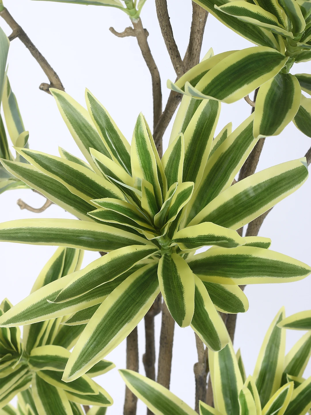 Artificial Plant  63inch Artificial Dracaena Reflexa 15 Head Tree With Black Pot|Home Decor,Office Decor Perfect Housewarming Gift,Set of 1