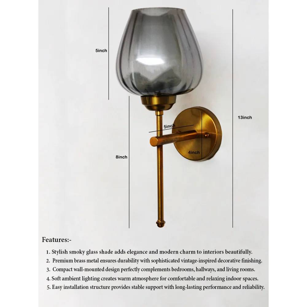 Modern Brass Wall Light with Smoked Glass Shade | SKE-140010_2_MBWLSGS