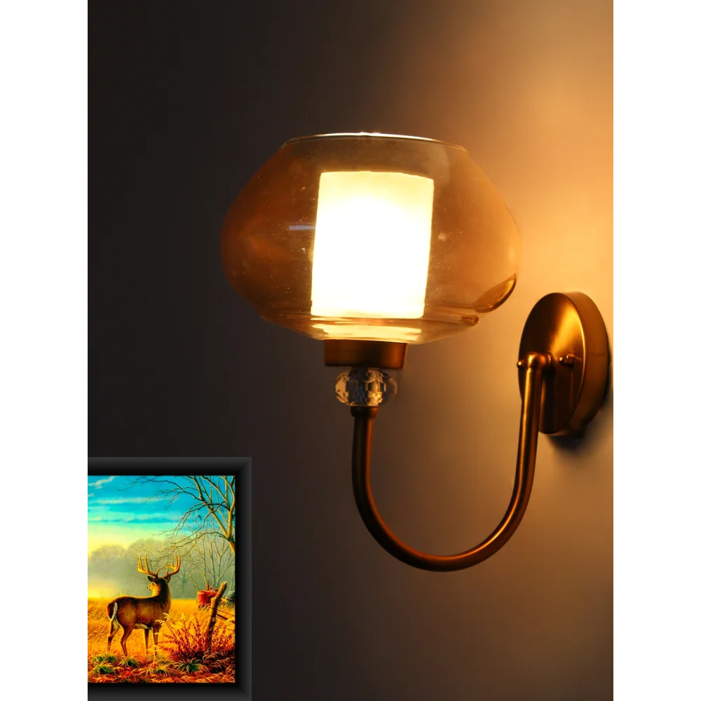 Big Kachori Glass Designer Globe Wall Lamp | SKE-140043_BKGWL