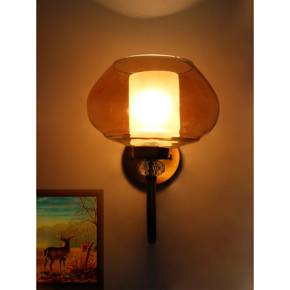 Big Kachori Glass Designer Globe Wall Lamp | SKE-140043_BKGWL