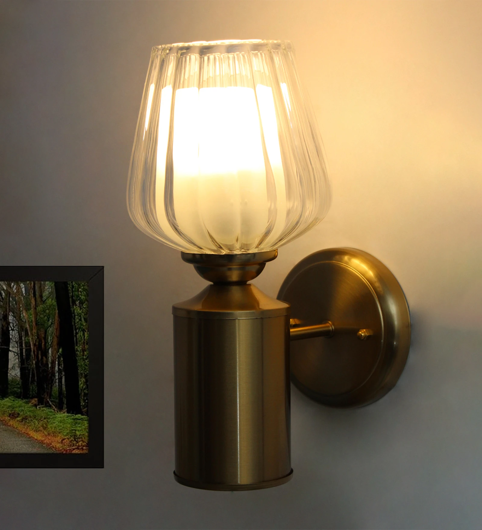 Clear Tulip Glass Brass Wall Mounting Light | SKE-140036-CTGM