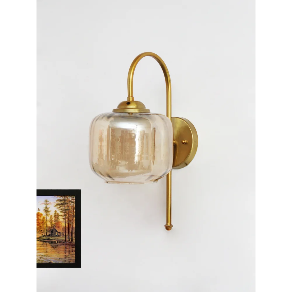 Curved Brass Gooseneck Glass Wall Light | SKE-140012-CBGS