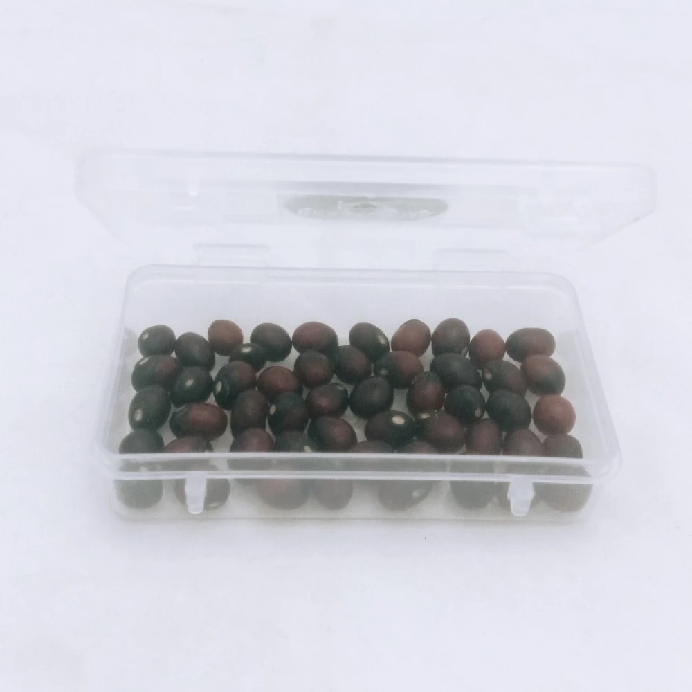 Black Chirmi Beads Goonja Gurivinta Seeds -Set Of 101 Pcs  For wealth