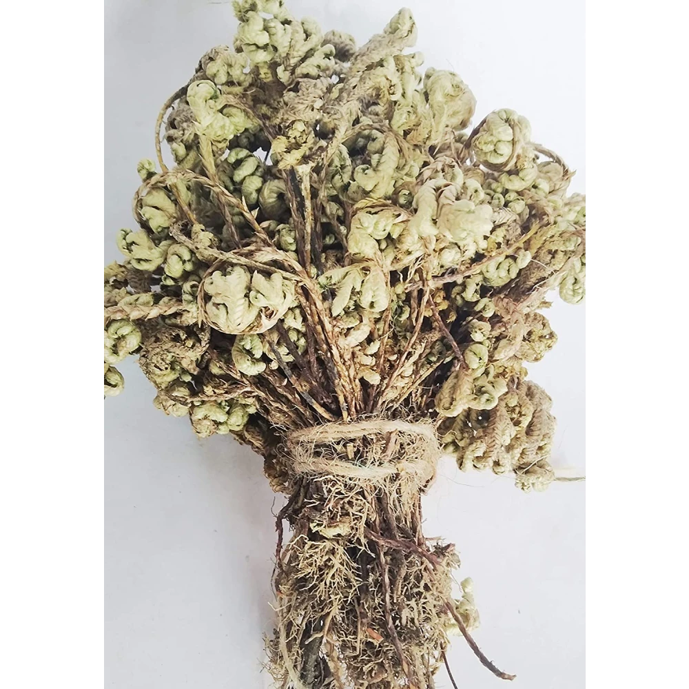 Natural Sidhh Sanjeevani/Lakshman Booti Pack of 3 PCS.