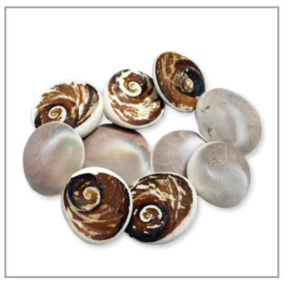 Natural Black Gomti Chakra -11 Pieces Set