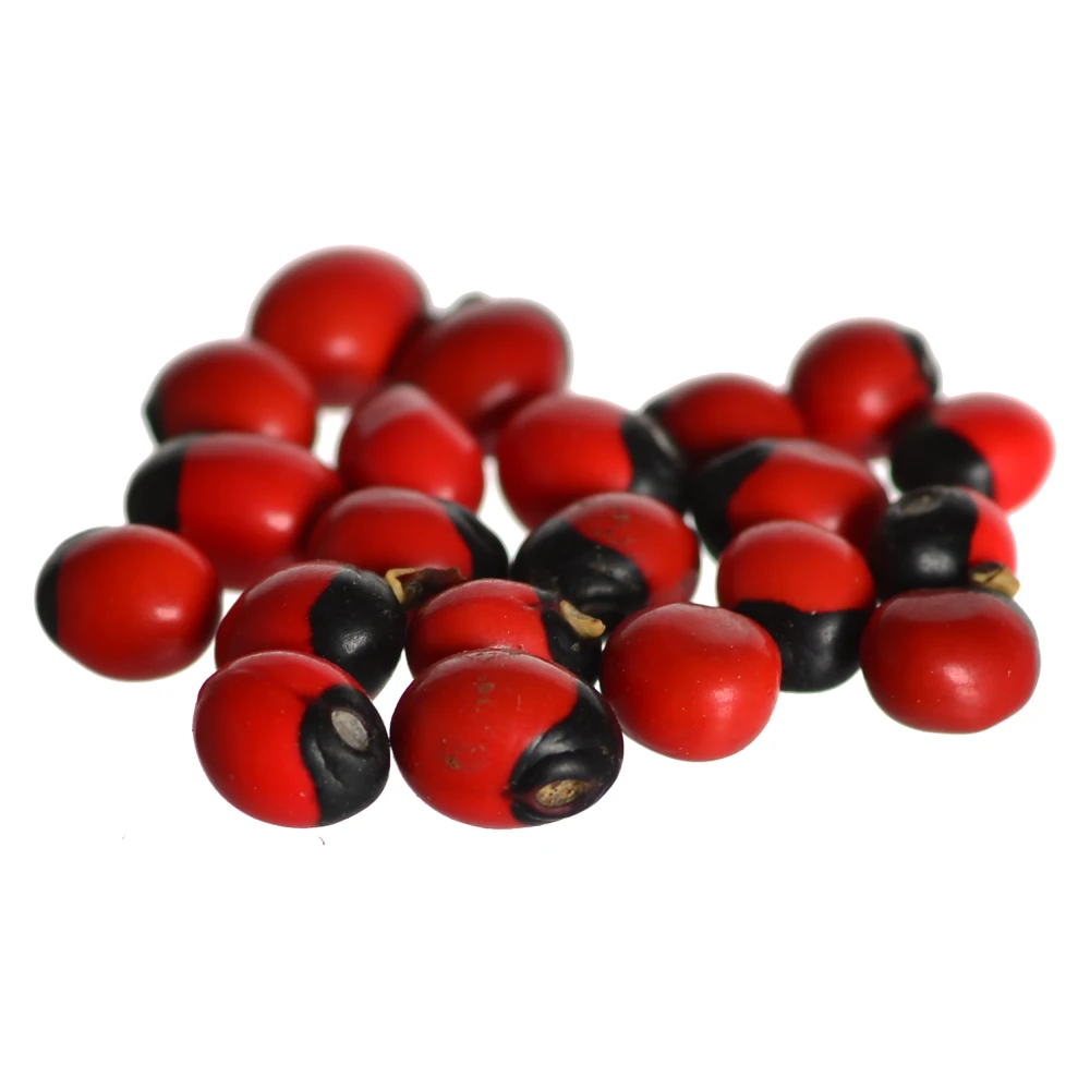 Natural Rakt Lal Gunja - Red Chirmi Beads Goonja Gurivinta Beads set of 11