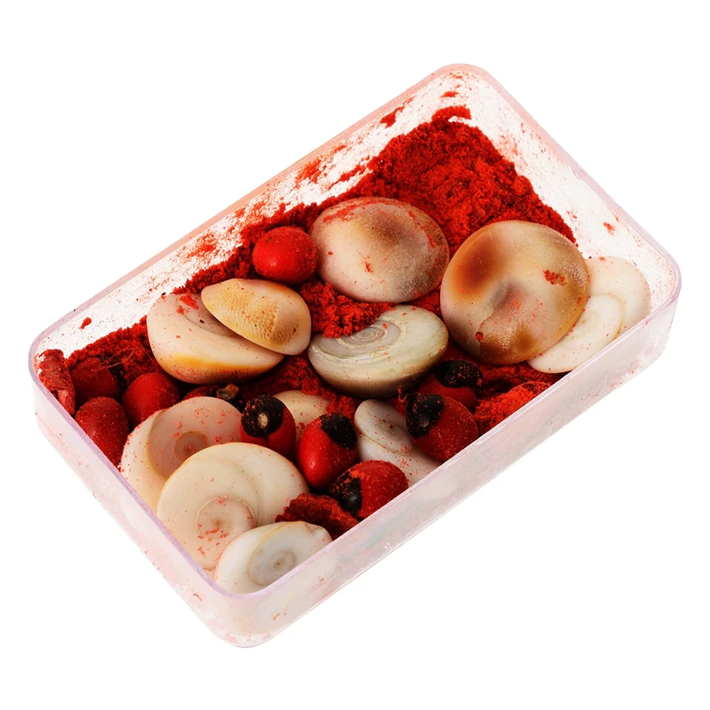 Stone Energised Gomti Chakra Set (3 cm x 5 cm x 1 cm, Pack of 11)