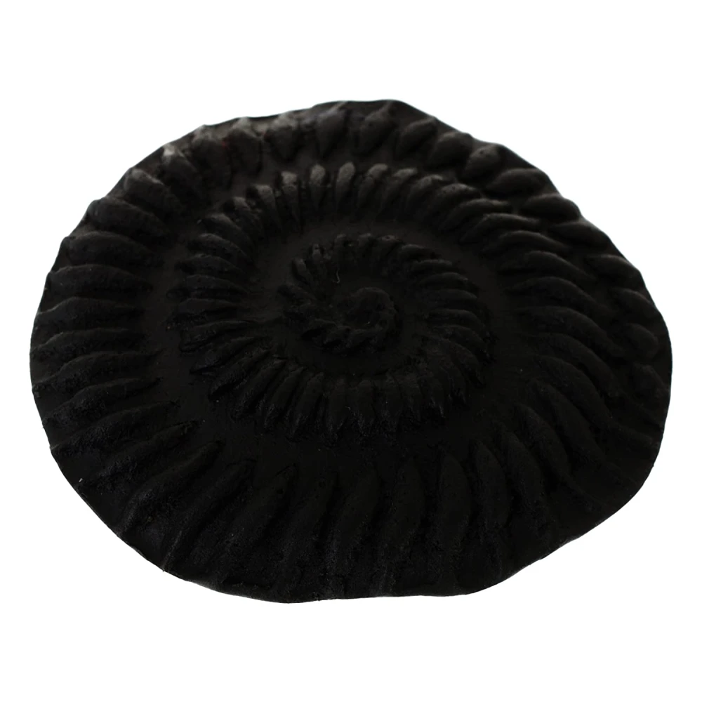Vishnu Chakra Shaligram (5 cm x 5 cm x 1 cm, Black, Pack of 2)