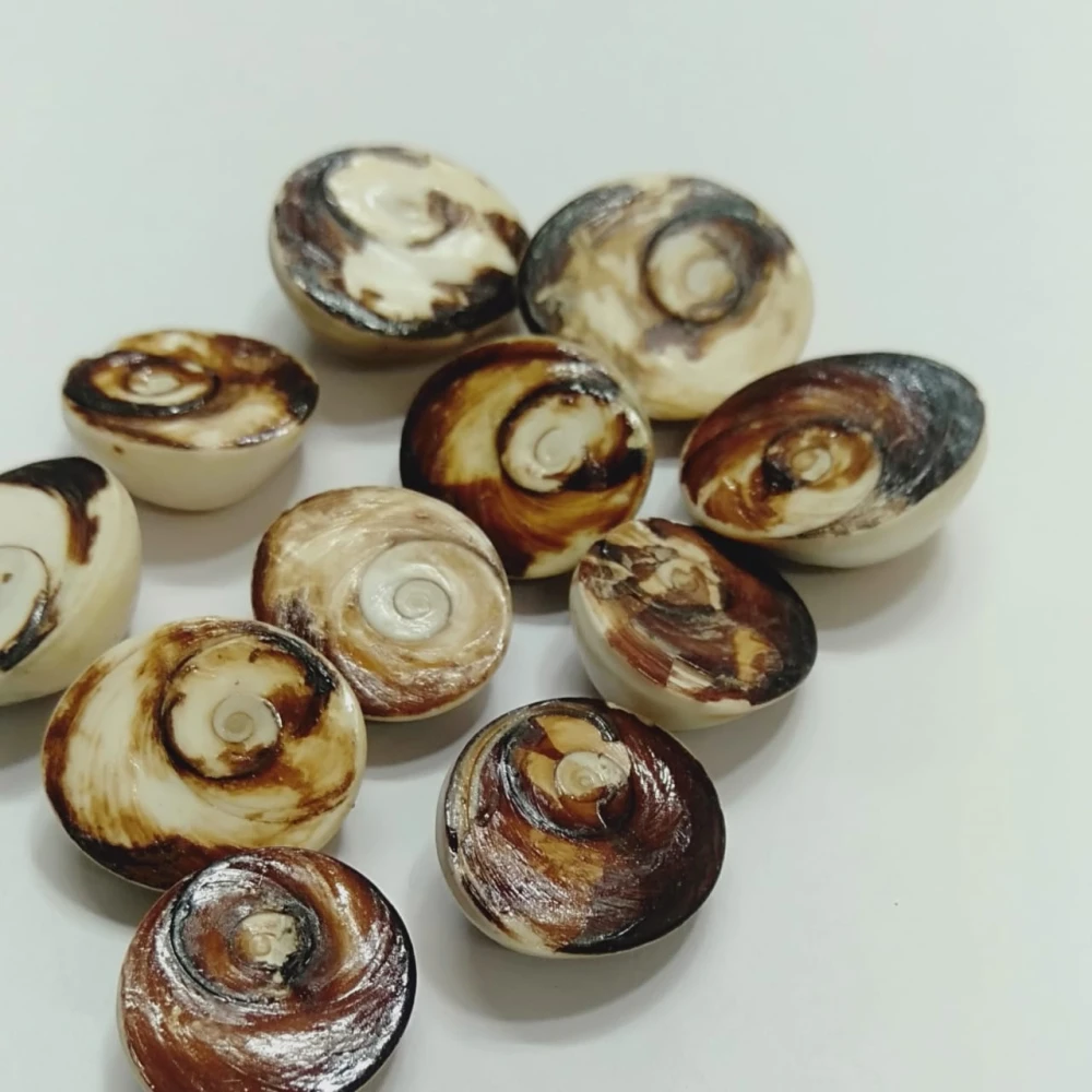 Natural Black Gomti Chakra -11 Pieces Set