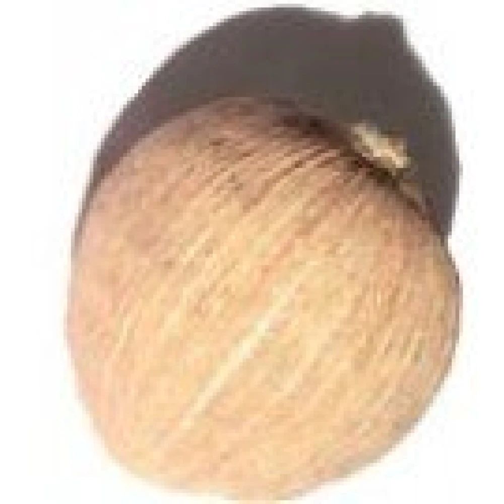 Laghu Nariyal-SRIPHAL For Pooja 1 Piece