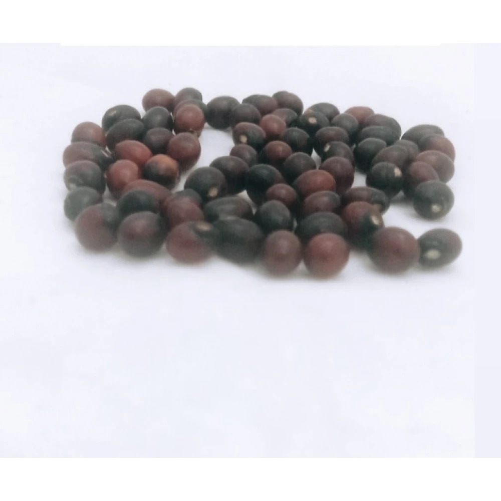 Black Chirmi Beads Goonja Gurivinta Seeds -Set Of 36 Pcs  For wealth and prosperity(6 x 5 x 2 CM).