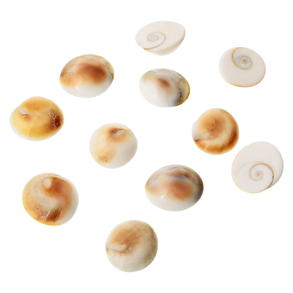 Natural White Gomti Chakra