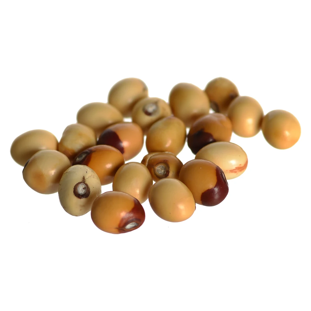 Natural Shwet Gunja White Chirmi Beads Goonja Gurivinta Seeds, Set Of 21 pieces.