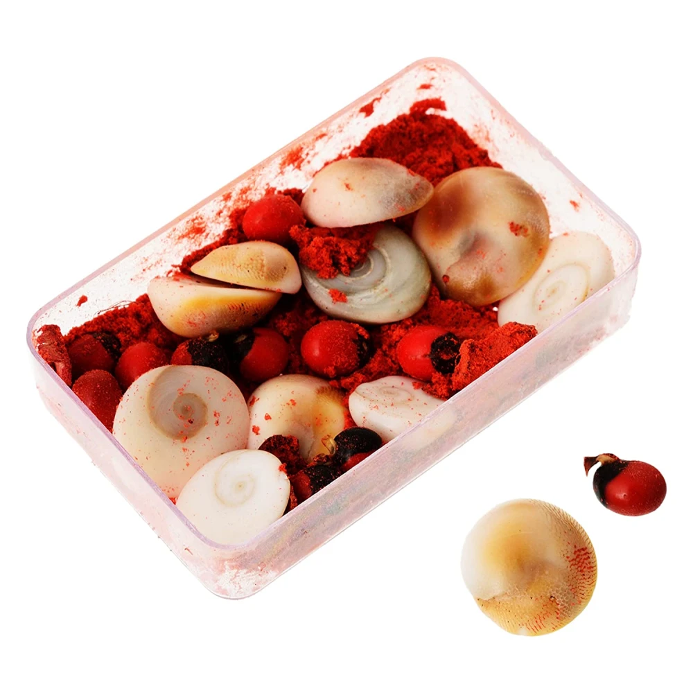 Stone Energised Gomti Chakra Set (3 cm x 5 cm x 1 cm, Pack of 11)