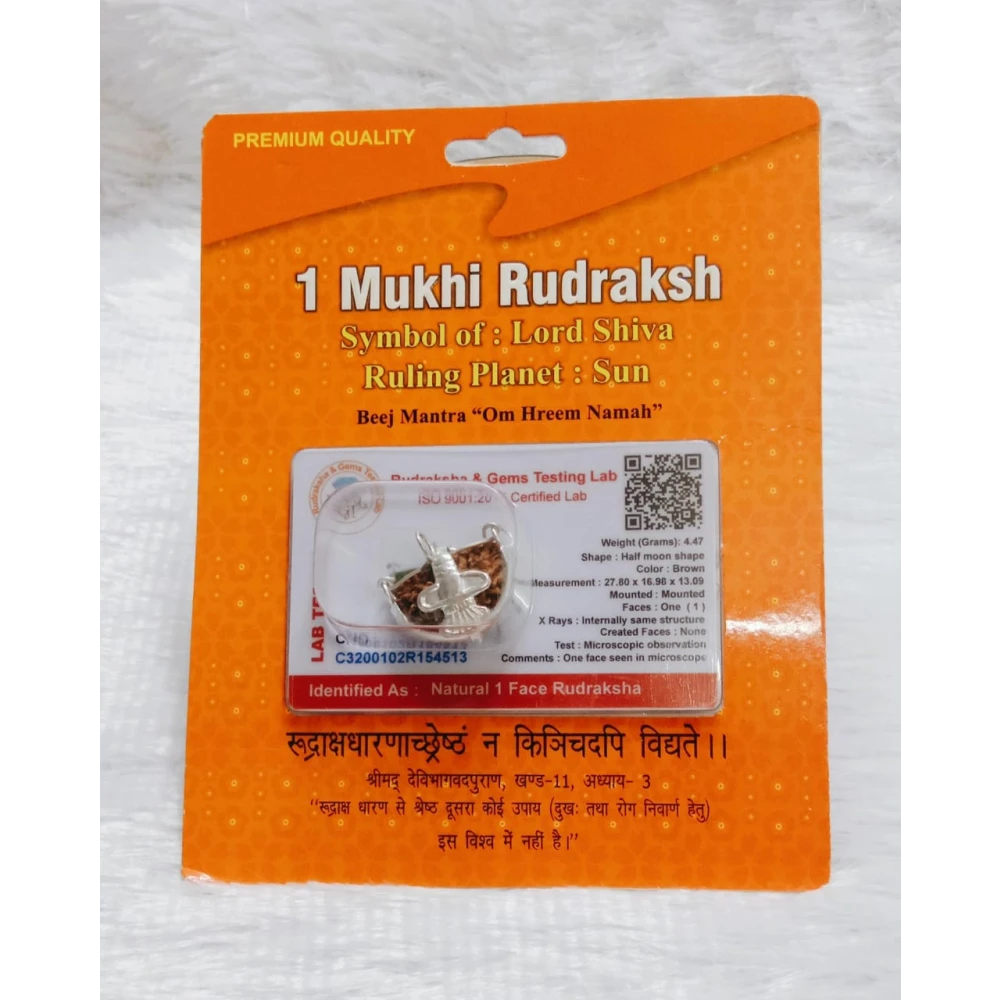 Pendant Of ONE FACE RUDRAKSHA BEAD With Silver Cap The Symbol of Lord