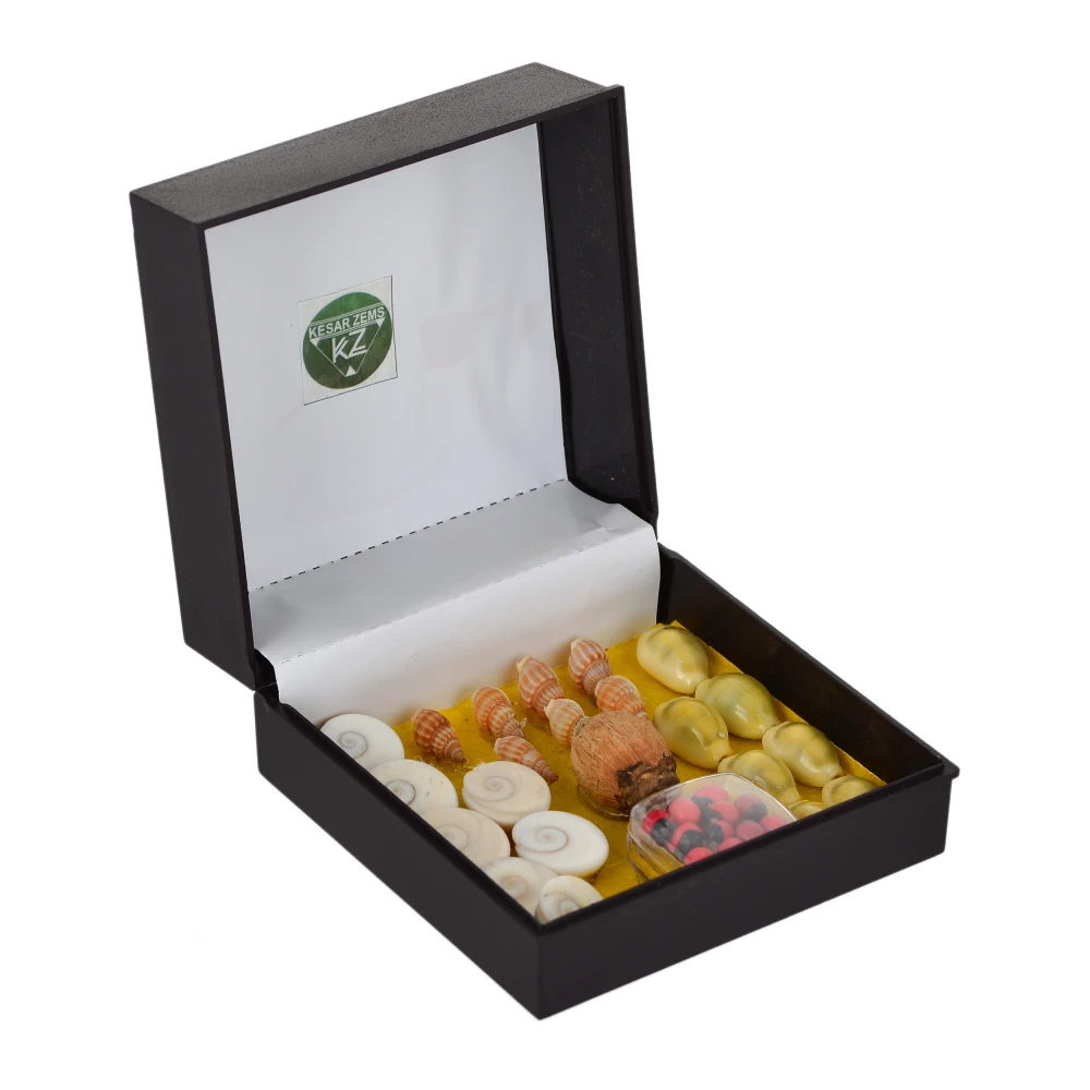 Special Navratri Energised Laxmi Pooja Box for Prosperity & Wealth