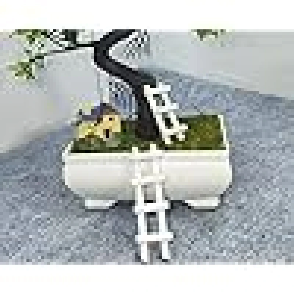 GOLDFISH1 Artificial Green Plant with a Lovely House and ladders.