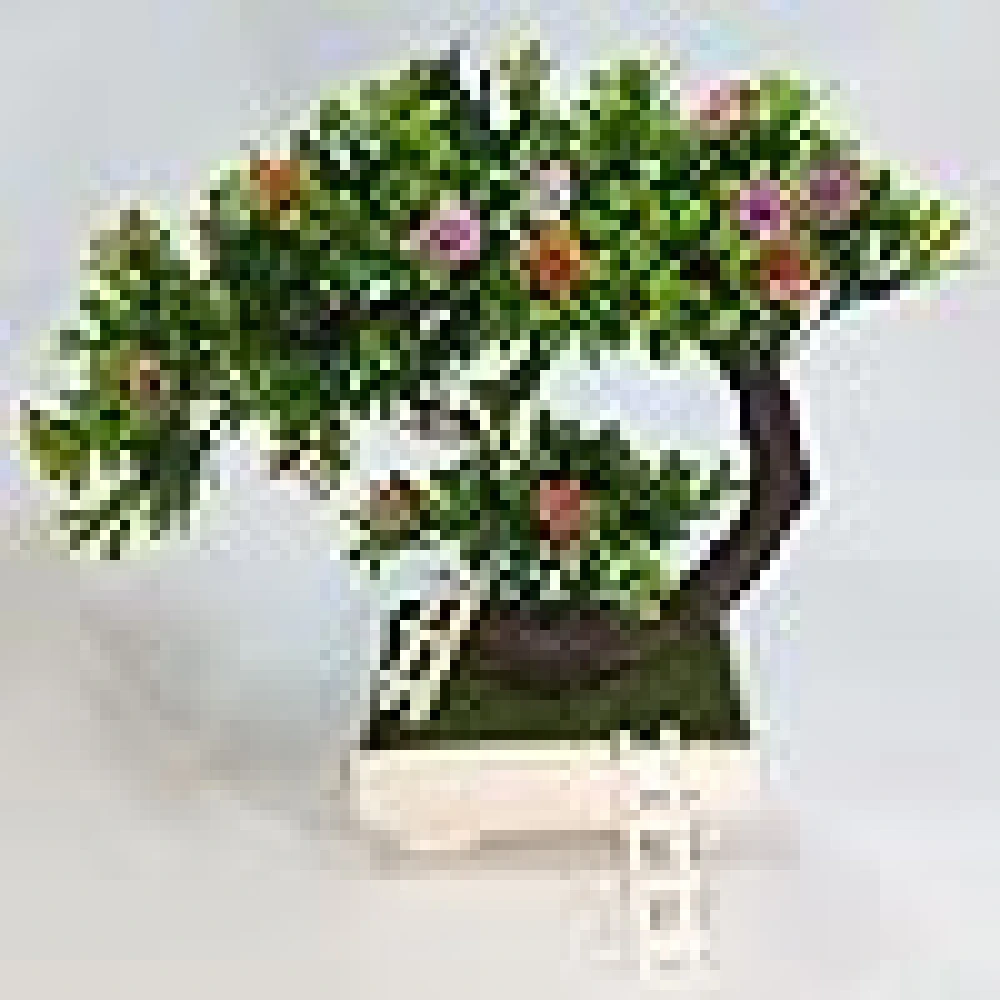 Artificial Bonsai Plant, Flowers with Pot, Ladder.