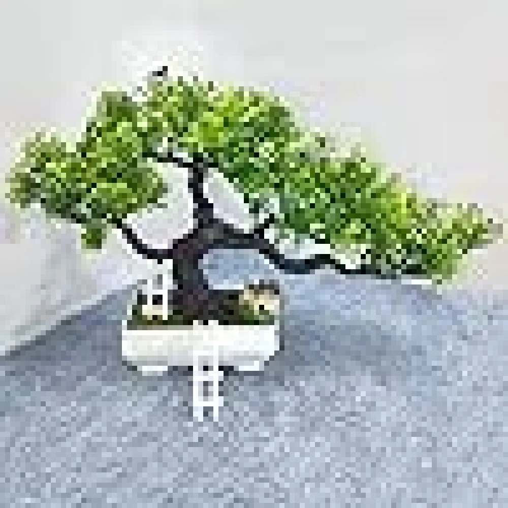 GOLDFISH1 Artificial Bonsai Plant with a Lovely House and 2 ladders.