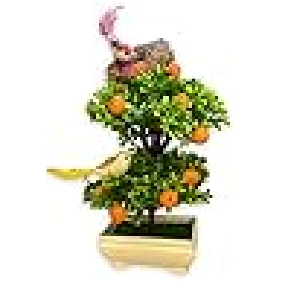 GOLDFISH1 Artificial Plants Birds -Nest