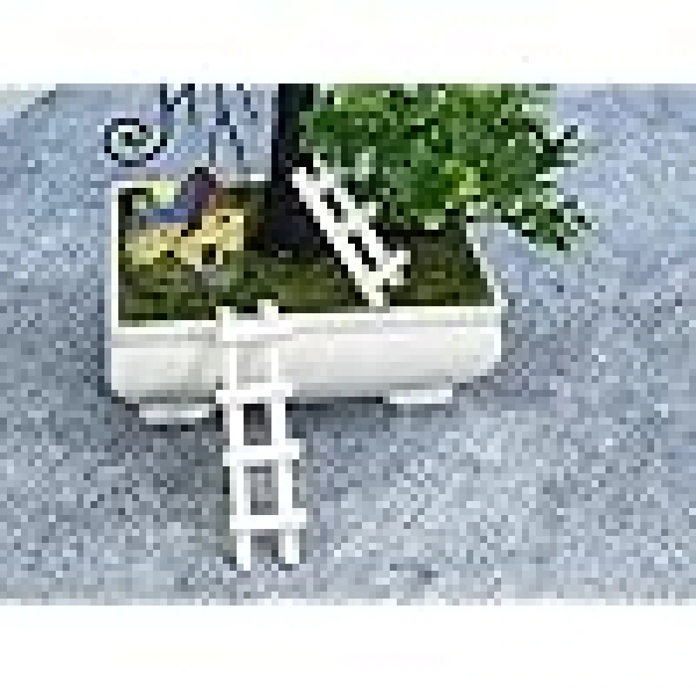 GOLDFISH1 Artificial Plant with a Lovely House and ladders.