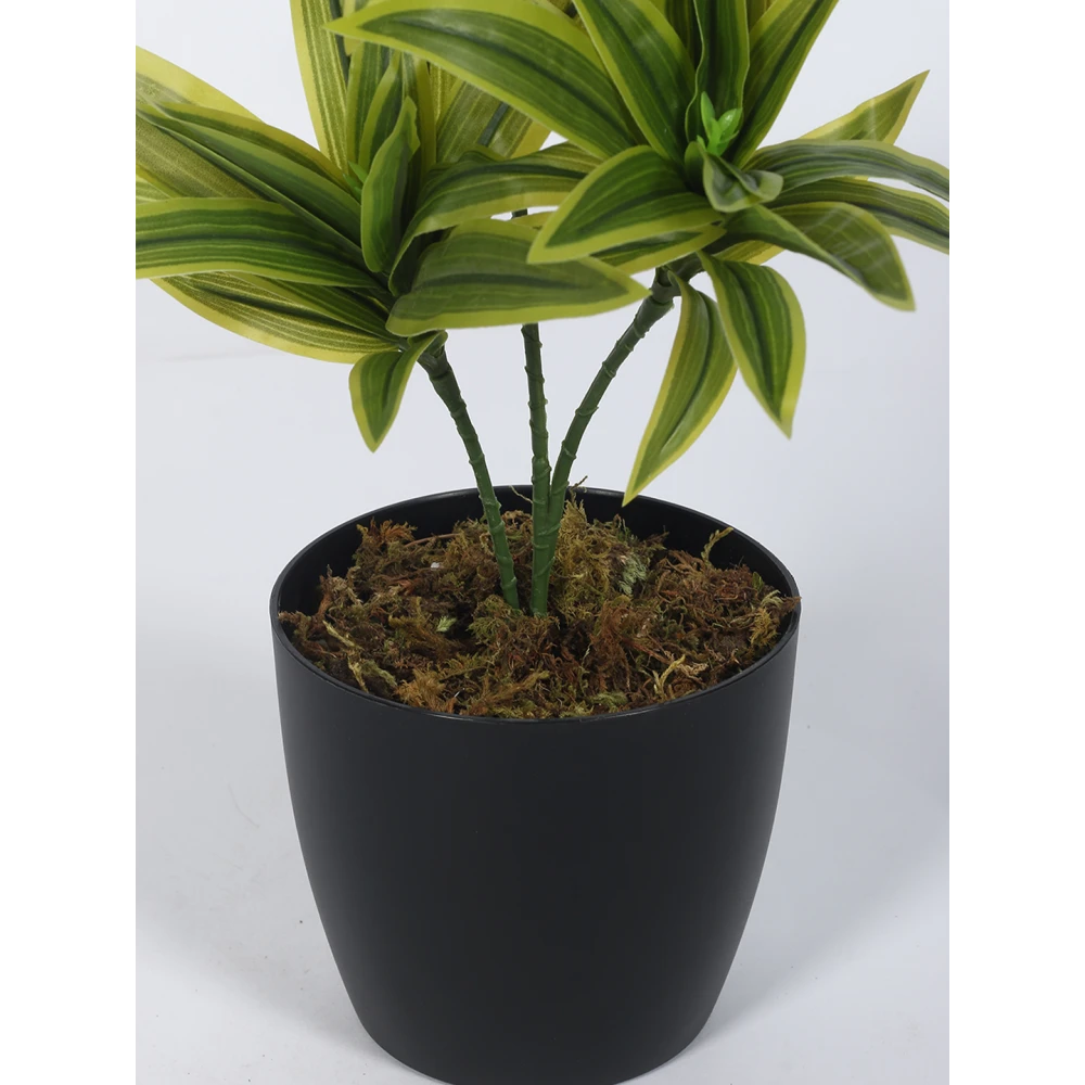 Artificial Plant 15inch Artificial Dracaena Plants With Black Pot|Home Decor,Office Decor Perfect,Set of 1