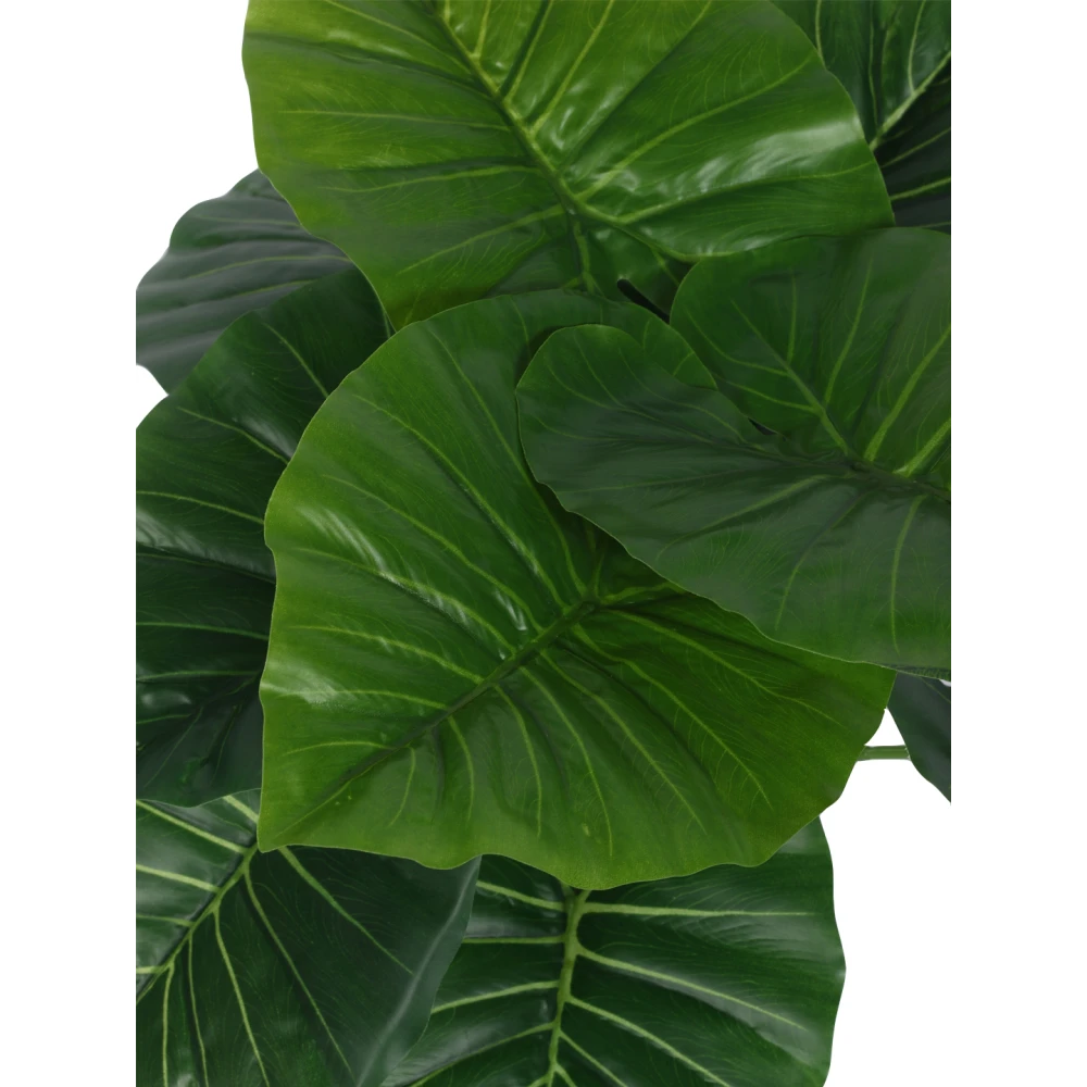 Artificial Plant  21inch Artificial Real Touch Rubber With Black Pot |Home Decor,Office Decor Perfect decor Gift,Set of 1